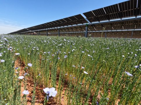 La energía renovable de Endesa supera el teravatio hora de producción en Andalucía