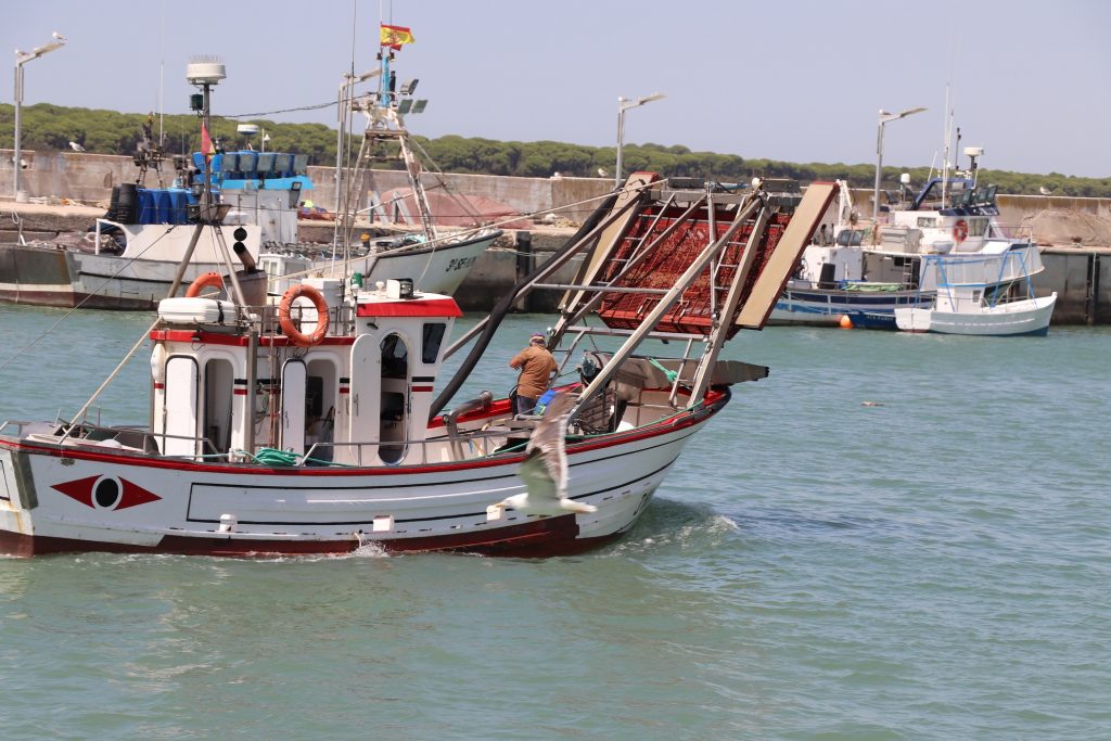 Andalucía resuelve las primeras líneas de ayudas a la pesca por la guerra de Ucrania