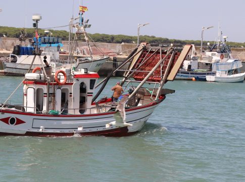 Andalucía resuelve las primeras líneas de ayudas a la pesca por la guerra de Ucrania