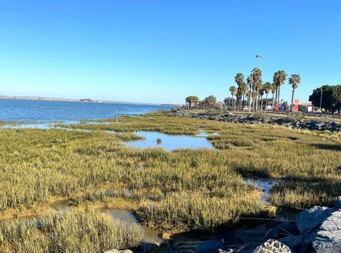 La Fundación Atlantic Copper y la Universidad de Sevilla se unen para restaurar las marismas costeras