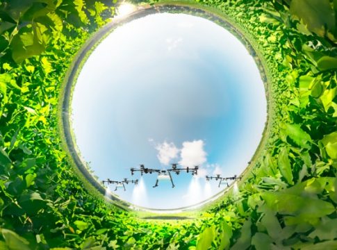 Consejo Andaluz de Cámaras de Comercio y Junta organizan el primer foro en el metaverso para el sector agroalimentario