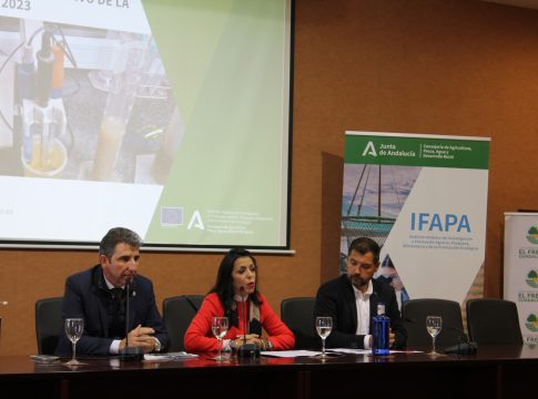El Ifapa traslada al sector los resultados de sus estudios de fertirriego en cultivos de fresa y arándanos