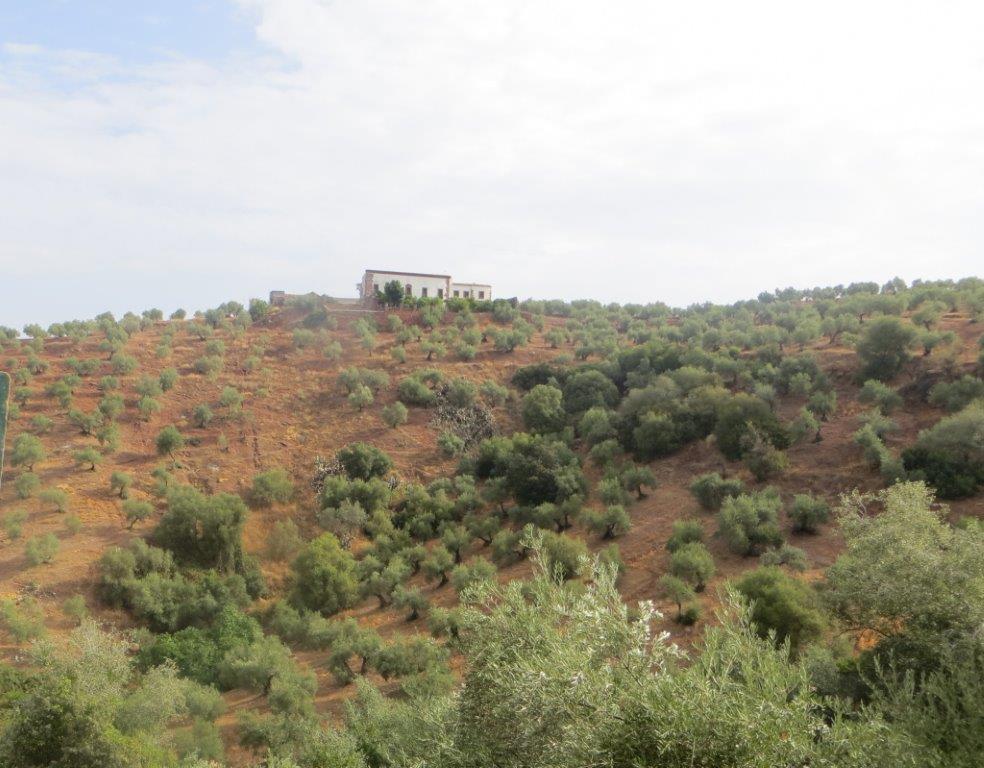 La Junta efectúa el pago de más de 13,6 M€ de las ayudas de desarrollo rural de zonas con limitaciones naturales