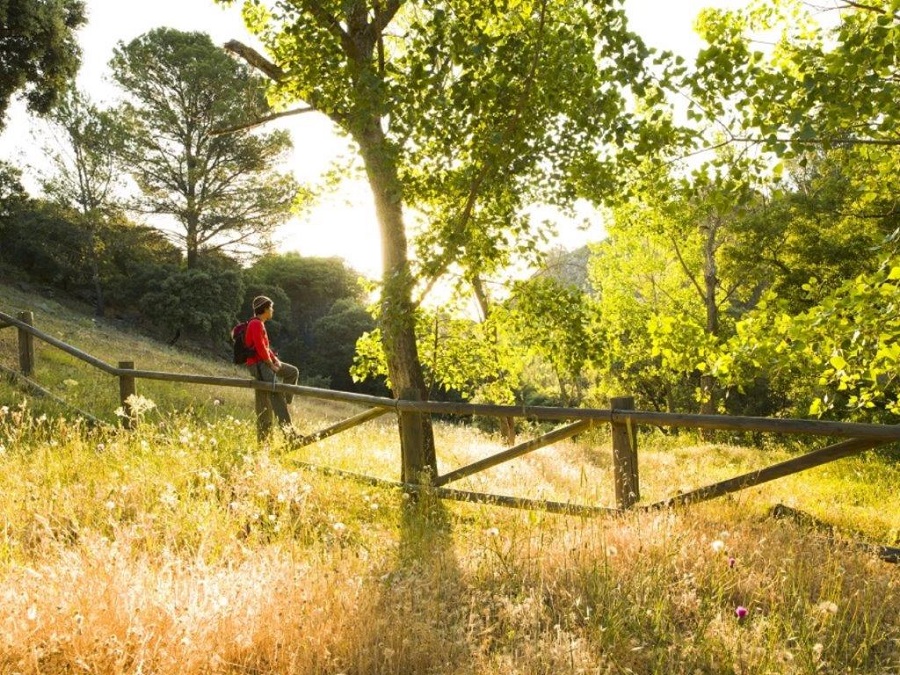 La Costa del Sol destaca como uno de los destinos de referencia de Turismo Activo a nivel nacional según una importante herramienta de análisis turístico