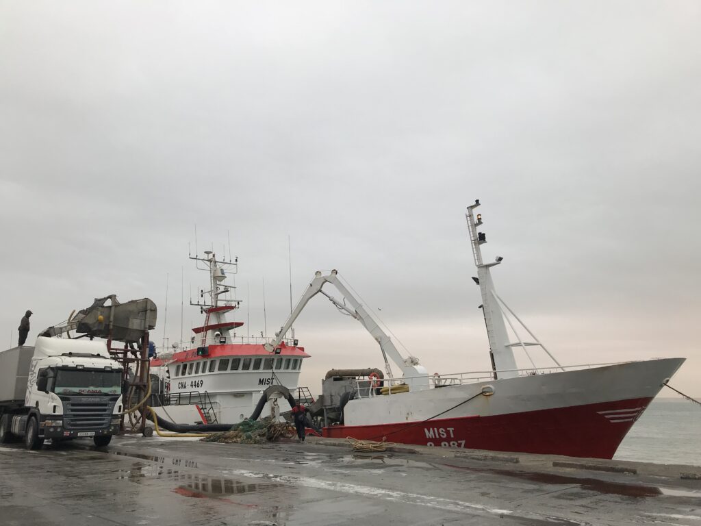 Sector pesquero advierte de que anular el acuerdo con Marruecos complicará la gestión sostenible en esas aguas de especies básicas como sardina, merluza o atún