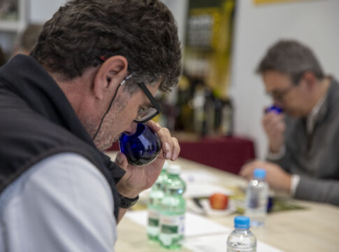 El XVII Concurso Provincial a la Calidad de los Aceites de Oliva Virgen Extra de la Diputación selecciona en una cata final a los mejores aceites de Córdoba