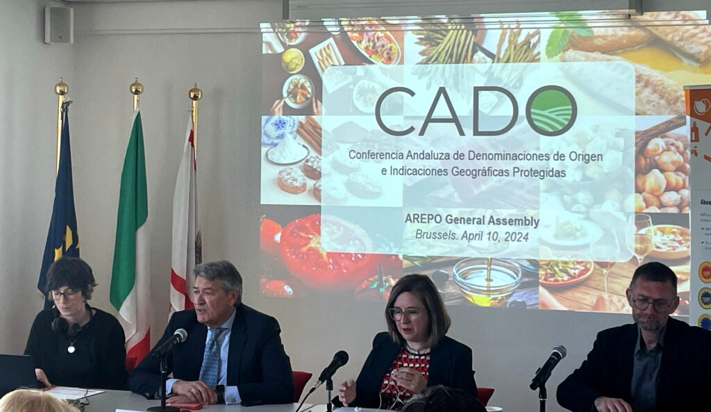 Andalucía oficializa su candidatura a la vicepresidencia de Arepo en la asamblea del ente europeo
