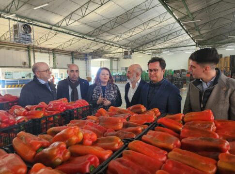 Andalucía llega a los 1.434 M€ en exportaciones de productos agroalimentarios en enero de 2024