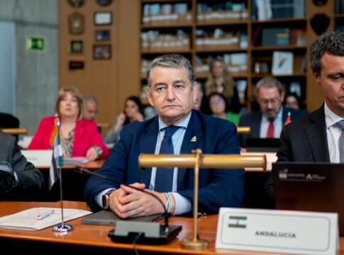 Antonio Sanz lleva al Consejo Nacional de Protección Civil el modelo andaluz de emergencias