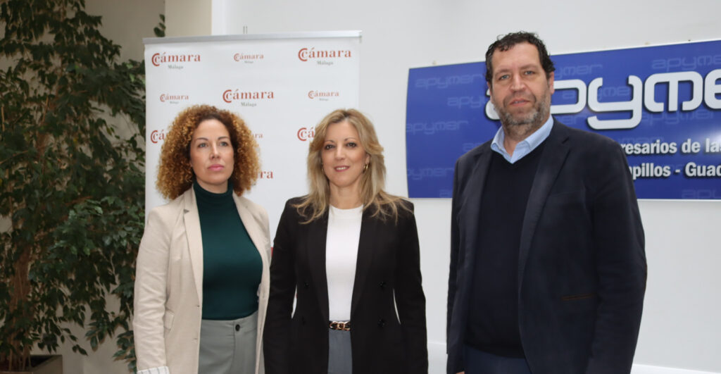 La Diputación de Málaga y la Cámara de Comercio forman a 60 empresas para que avancen en sus procesos de internacionalización
