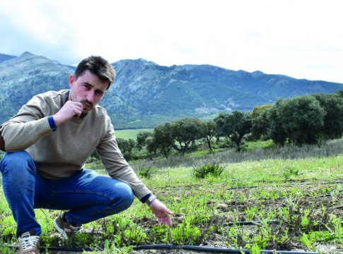 Alberto Cortés (Ginevia): “Corroborar y confirmar que tenemos un producto de calidad”