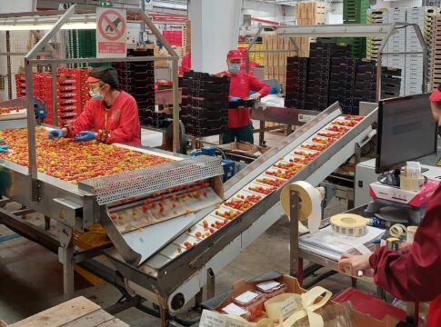 Nueva convocatoria de ayudas para la Economía Social para fomentar el emprendimiento, la innovación y la competitividad del sector