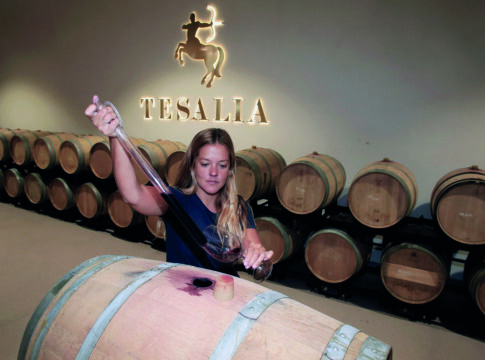 Valle Lozano (Bodega Tesalia): “Hemos apostado por una variedad autóctona: la Tintilla de Rota”