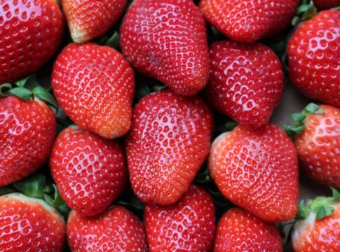 Andalucía, líder en comercialización internacional de fresas, frambuesas y arándanos frescos