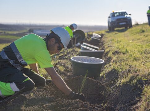 Cobre Las Cruces avanza en la rehabilitación ambiental de los espacios mineros: el relleno de la corta alcanza el 80%
