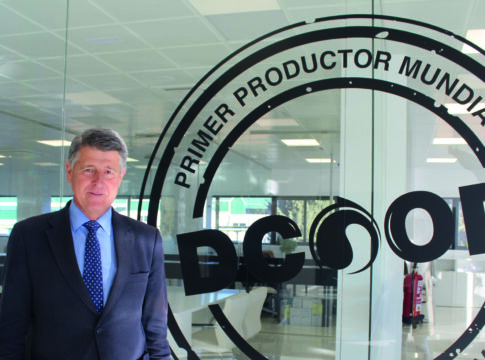 Rafael Sánchez (DCOOP): “Actualmente somos la primera cooperativa en producción de aceite de oliva a nivel mundial”