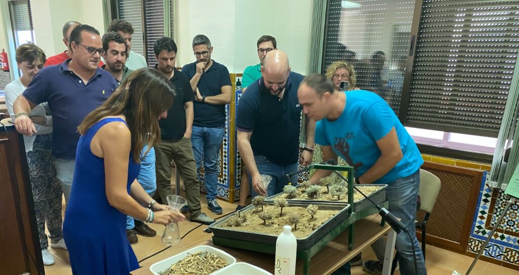 Córdoba acogerá una nueva edición del Curso Superior de Especialización en Olivicultura del Ifapa