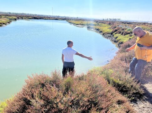 El Ifapa inicia en la Bahía de Cádiz un proyecto para identificar y planificar zonas idóneas en las que implantar modelos de acuicultura circular