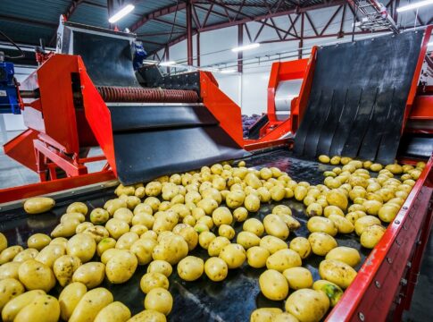 El valor de las exportaciones hortofrutícolas a EEUU crece casi un 34% en el primer trimestre de 2024