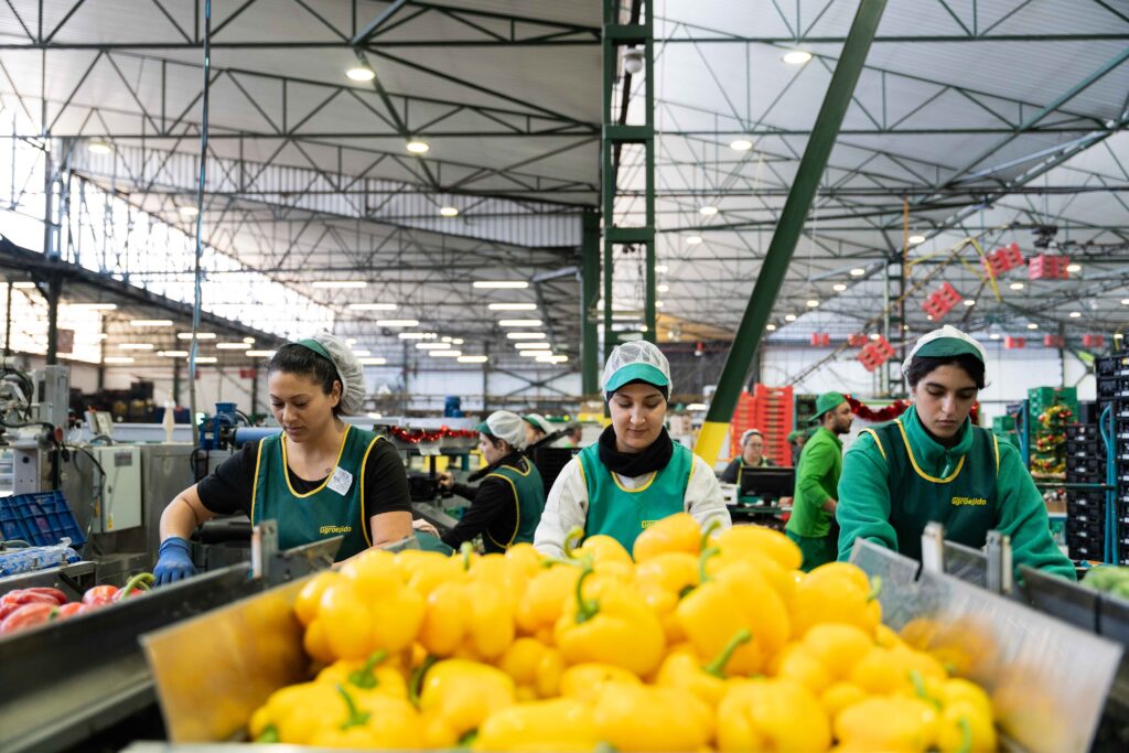 La almeriense Agroejido factura el 70% de sus ventas en mercados europeos y crece un 50% en los últimos cuatro años