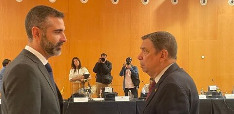 Andalucía antepone las ayudas a los productores para la próxima campaña y apoyará los cambios del Pepac, aun siendo “insuficientes”