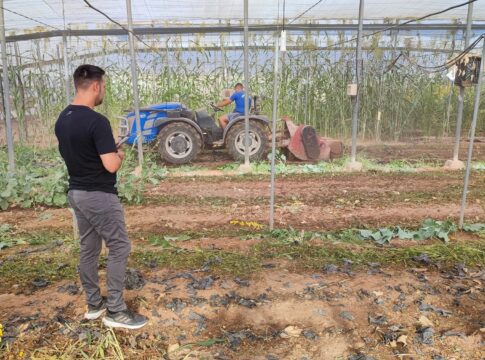 El Ifapa imparte en La Mojonera (Almería) una jornada de biosolarización para mejorar la salud del suelo en cultivos hortícolas