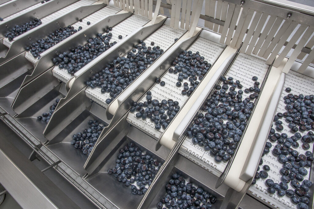 La española Cool Berries, primera empresa del sector en conseguir en Europa la máxima certificación por emisiones cero de carbono