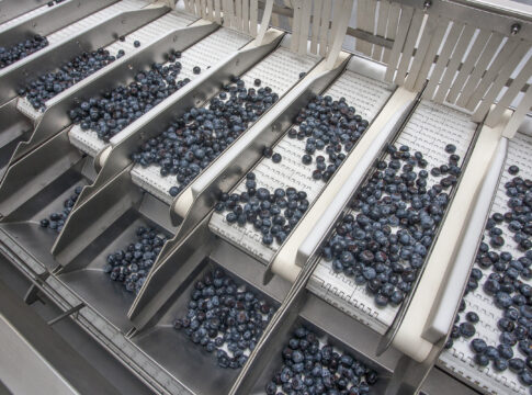 La española Cool Berries, primera empresa del sector en conseguir en Europa la máxima certificación por emisiones cero de carbono