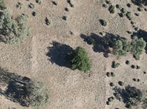 Fundación Río Tinto completa la prospección arqueológica de Dehesa de la Sierra en el municipio de Aznalcóllar (Sevilla)