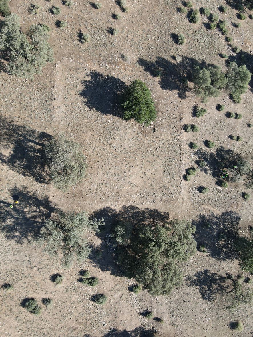 Fundación Río Tinto completa la prospección arqueológica de Dehesa de la Sierra en el municipio de Aznalcóllar (Sevilla)
