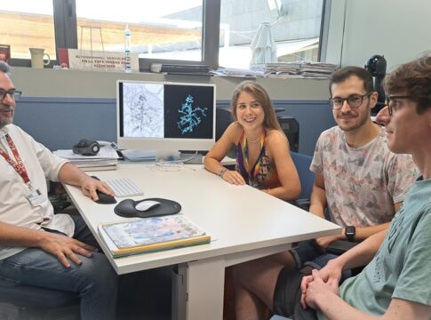 Nuevos mecanismos para el correcto desarrollo del cerebro