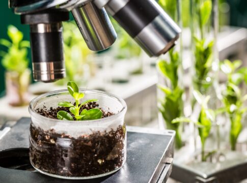 La Junta encarga la redacción del proyecto del Smart Green Cube en el Parque Científico-Tecnológico de Almería