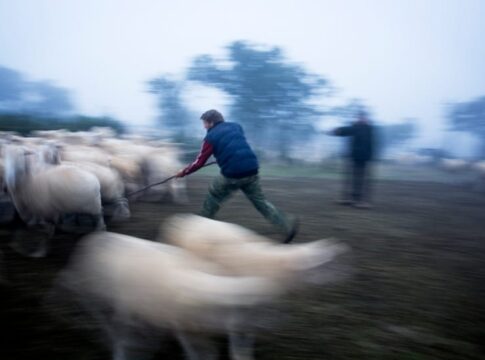 La Junta apuesta por la implicación de los andaluces en el mundo rural a través de la fotografía