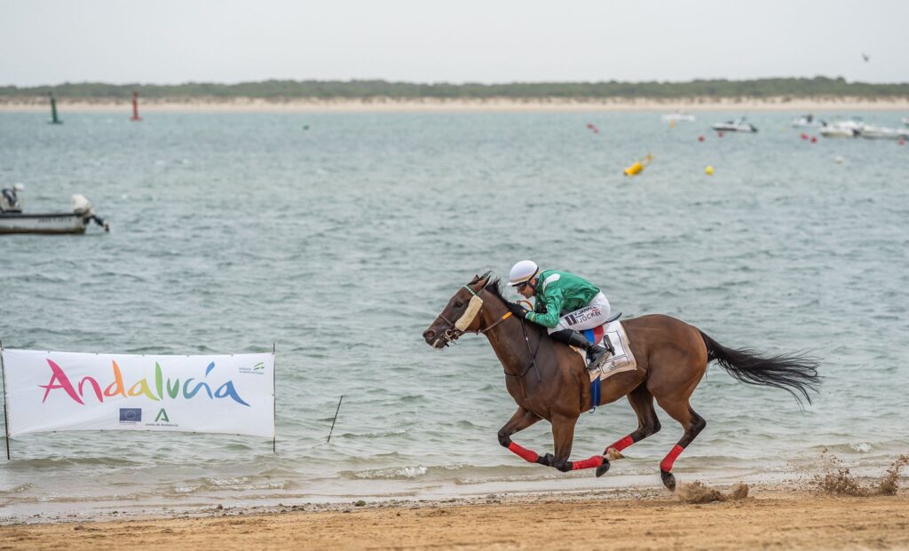Este próximo miércoles comienzan las Carreras de Caballos en las playas de Sanlúcar de Barrameda