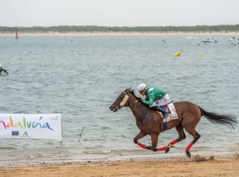 Este próximo miércoles comienzan las Carreras de Caballos en las playas de Sanlúcar de Barrameda
