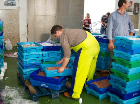 Las lonjas andaluzas comercializan 22.535 toneladas de productos frescos el primer semestre de 2024