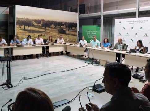 Andalucía prevé una producción de más de 135.700 toneladas de algodón en la próxima campaña