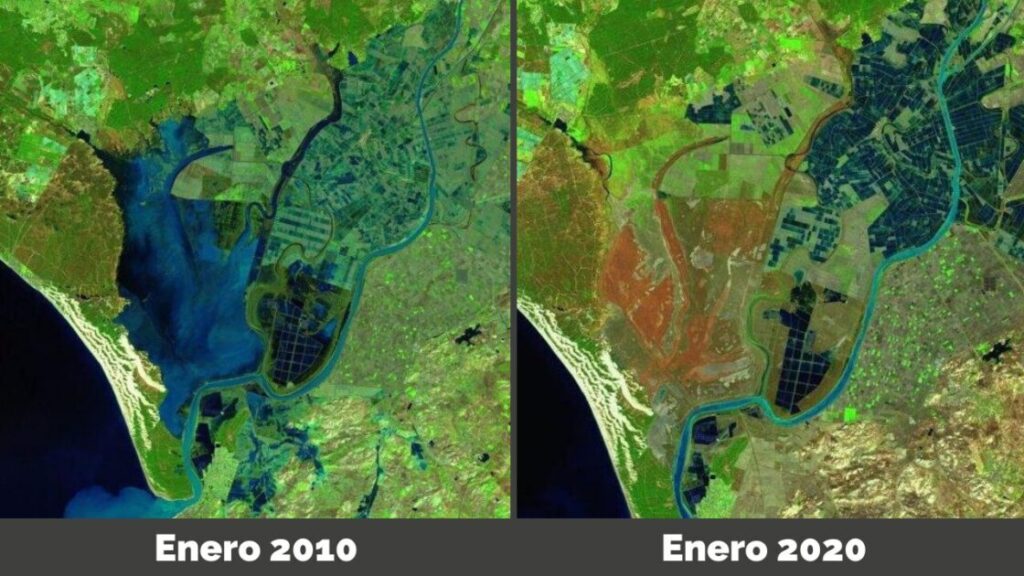 El Cambio Climático podría hacer desaparecer las marismas de Doñana