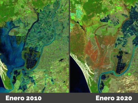 El Cambio Climático podría hacer desaparecer las marismas de Doñana