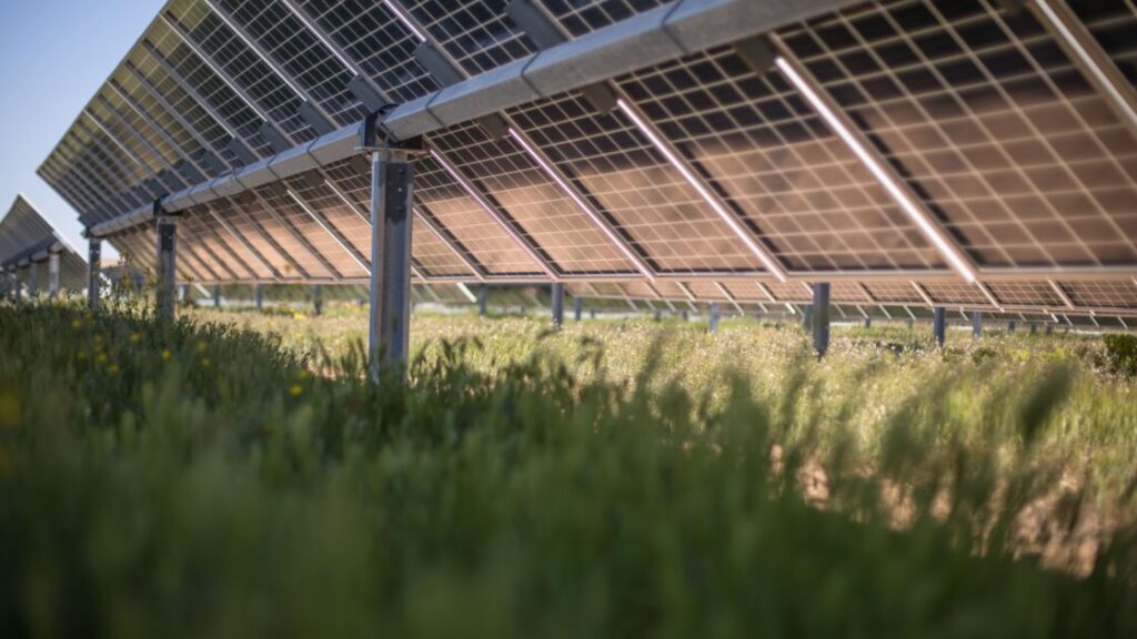 Lightsource bp cierra la financiación de 175 millones para la construcción de 248 MWp solares  