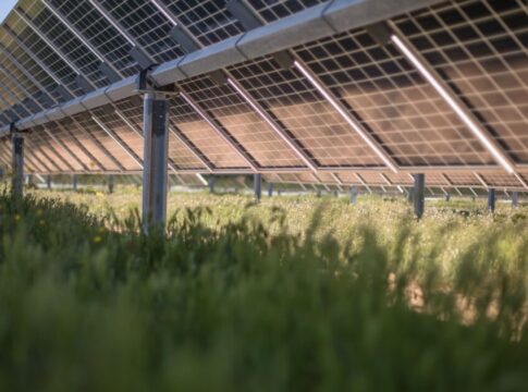 Lightsource bp cierra la financiación de 175 millones para la construcción de 248 MWp solares  