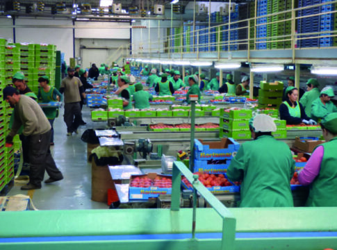 José Miguel López (Hortamar): “El tercio de nuestras fincas han hecho la transición y están produciendo cultivo ecológico”