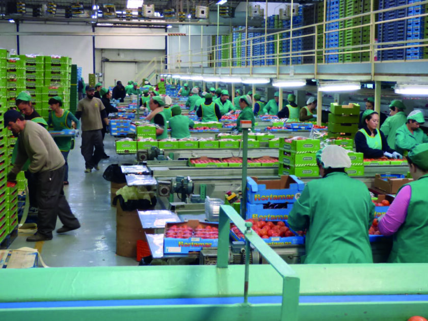 José Miguel López (Hortamar): “El tercio de nuestras fincas han hecho la transición y están produciendo cultivo ecológico”