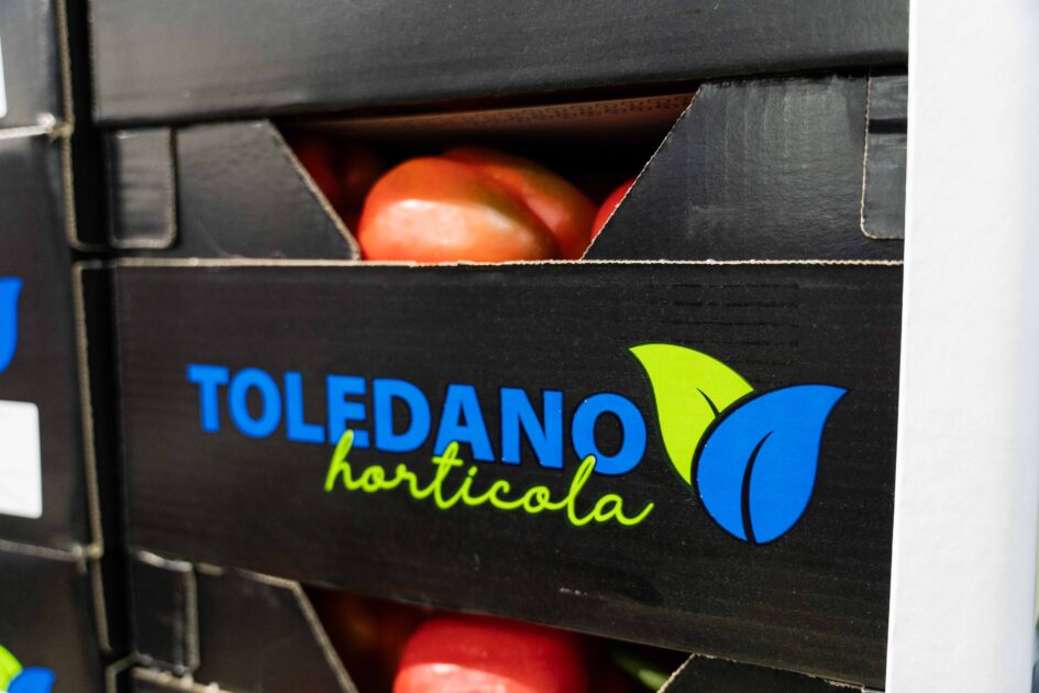 La almeriense Toledano Hortícola en sólo cinco años exporta ya el 95% de su producción a los mercados europeos
