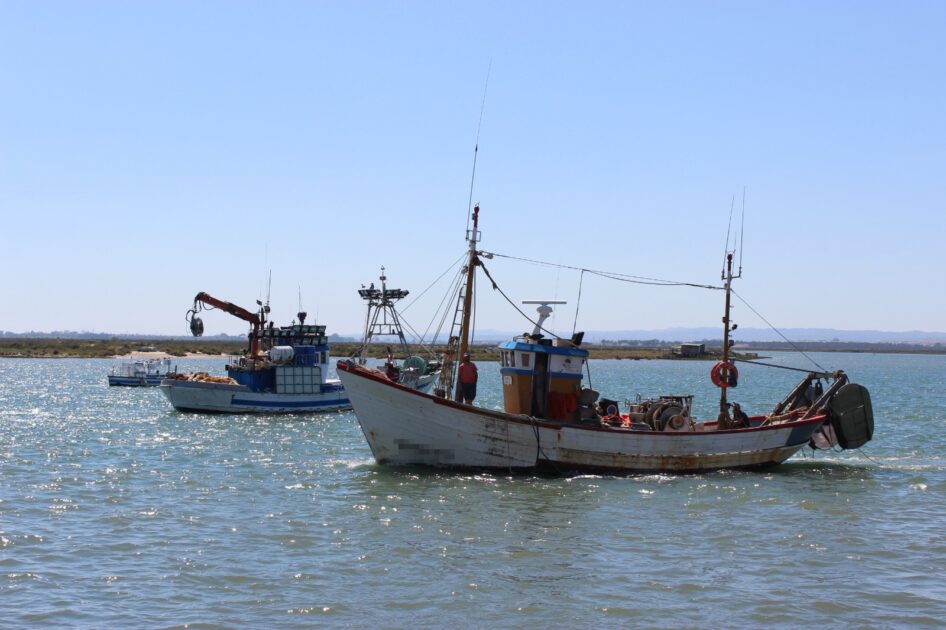La Junta convoca ayudas para la pesca de arrastre del Mediterráneo por 3,3 millones de euros