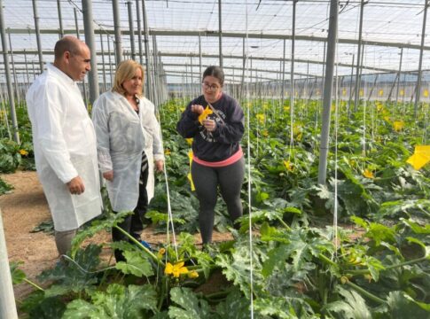 La Junta impulsa el relevo generacional en el campo andaluz con 130 millones para jóvenes agricultores