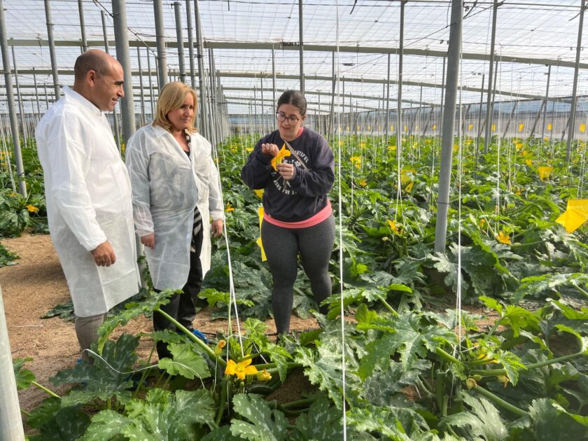 La Junta impulsa el relevo generacional en el campo andaluz con 130 millones para jóvenes agricultores