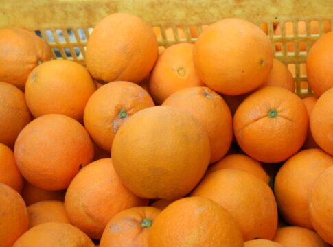 ASAJA-Andalucía alerta del incumplimiento de la ley de la cadena alimentaria en el sector del zumo de naranja