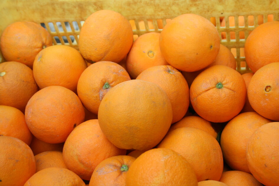 ASAJA-Andalucía alerta del incumplimiento de la ley de la cadena alimentaria en el sector del zumo de naranja