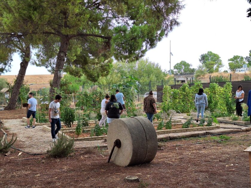 Más de 800 andaluces han participado en las jornadas ‘Tu huerto, tu salud, tu planeta’